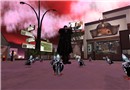 Night of the living birds!