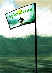 spl flag at tortola beach