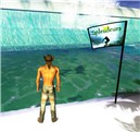 big wave at splendeurs flag