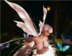 butterflies forever