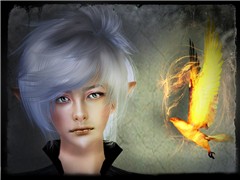 Sagha