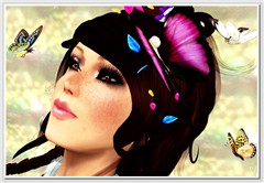 Butterflies