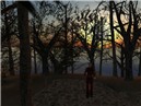 Seeking 05