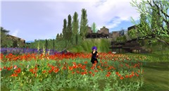 garden_001