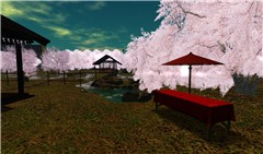 Cherryblossoms,Pure_Angel02