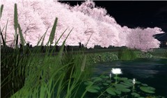 Cherryblossoms,Pure_Angel03