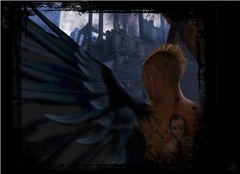 Gauge_Wings