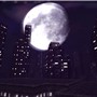 Primitive City 1