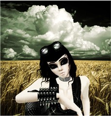 In the field...