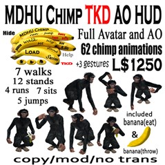 ChimpTKDao