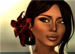 Kit red flower