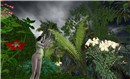 Skate's Island , the Rain Forest - Liqueur Felix