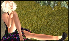 summersim 4