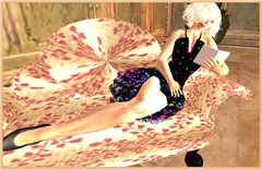 the reader