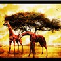 Savana