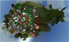 bird's eye view... of eggs - Torley Olmstead
