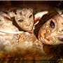 THE MASKS