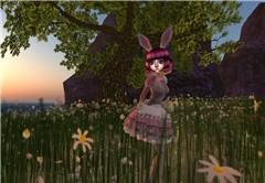 to frolic