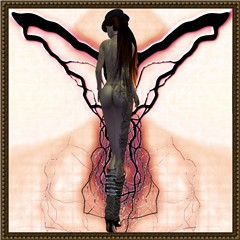 20078