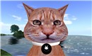 hello i'm a cat - Torley Olmstead