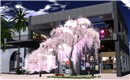 090404_002