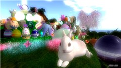 eggsactly10
