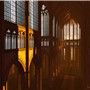 Der Dom zu Köln  (unedited)