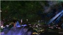 forest_009