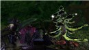 forest_00005