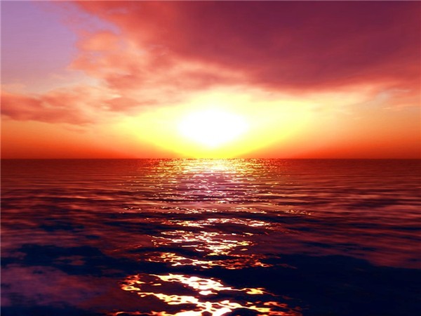 sea222_005-3