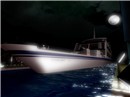 cruiser by Squall 