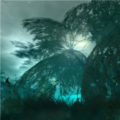 NEOM GRUT 05