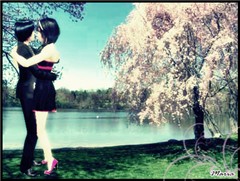 Sakura love