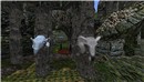 Mermaid Temple -RELIC Sanctuary ruin