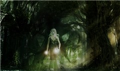 lost in the forest