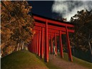 Torii - teto Sosa