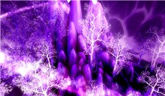 Violet Stand