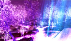 The Unbound Thicket