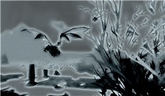 Flying in Dragonblight