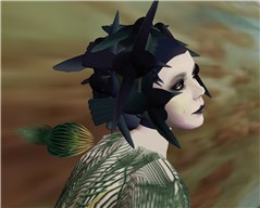 Rousseau - Black bird - Profile