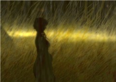 Les soleils mouillés de ces ciels brouillés