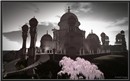 Taj_006