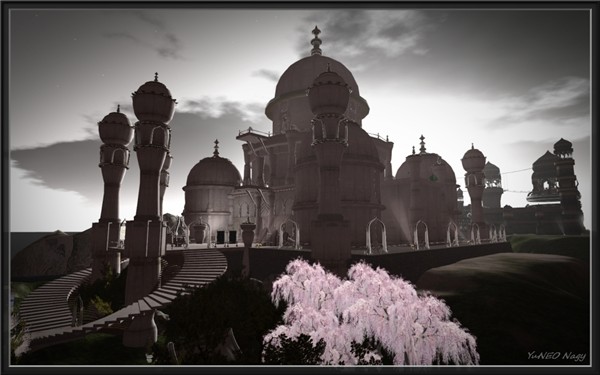 Taj_006