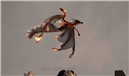 Sculptures in Second Life - Koinup Burt