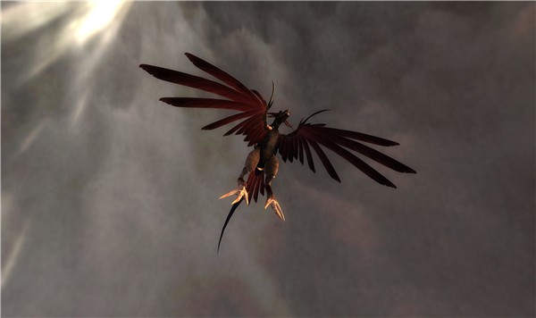 Kazuhiro's new Dravyn in flight