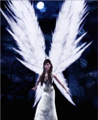 lost angel