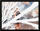 Hamster - Aerobreeze_002