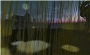 through the tall grass, i saw a house - Torley Olmstead