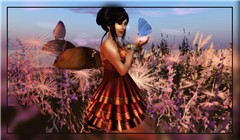 ZD Extraordinary Photo Contest