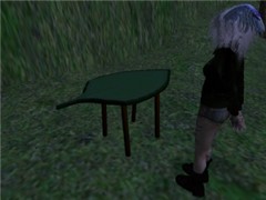 The table of the leaf